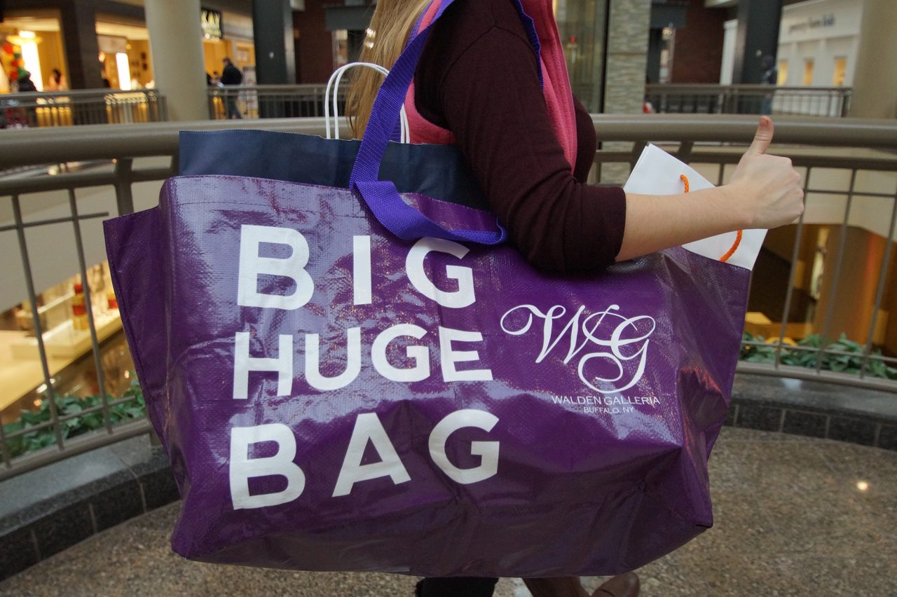 Big Huge Bag Walden Galleria 