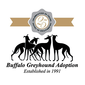 Buffalo Greyhound Adoption - Established in 1991