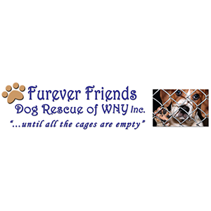 Furever Friends - Dog Rescue of WNY Inc. "...until all the cages are empty&qout;