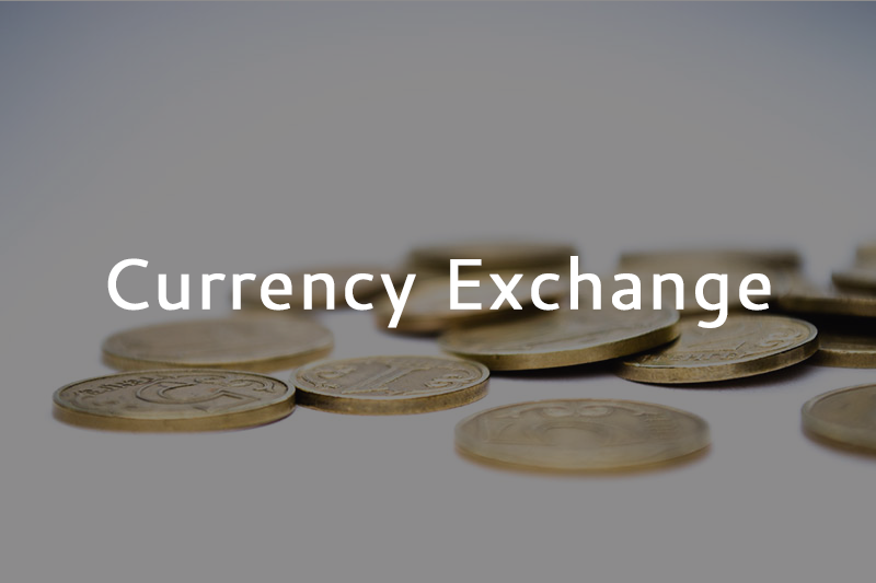 Currency Exchange_Website Ad