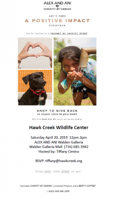 hawk creek charmed by charity hawk creek charmed by charity
