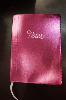 papyrus pink notes notebook