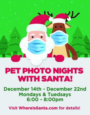 2020 Pet Photo Nights Website Image 2