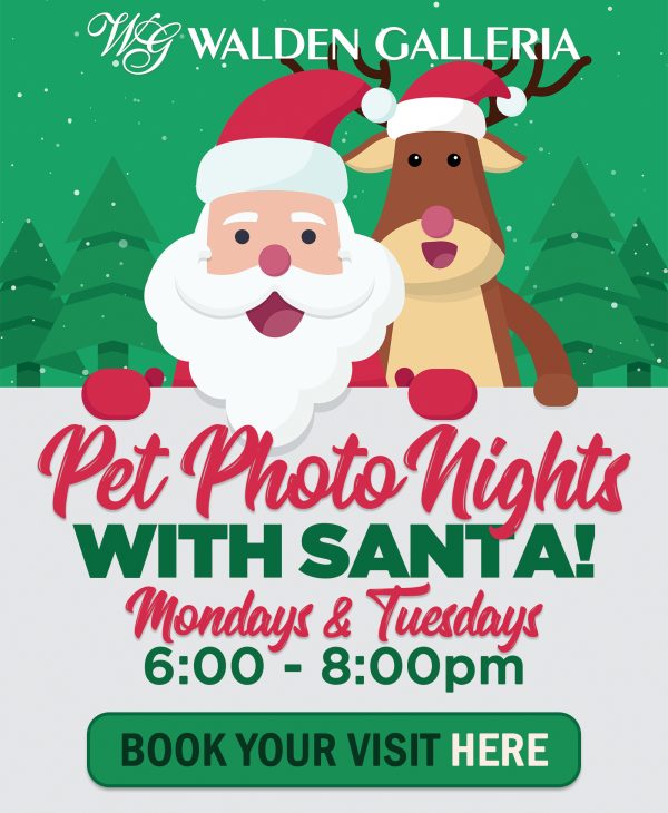 2021 Pet Photo Nights Website Image