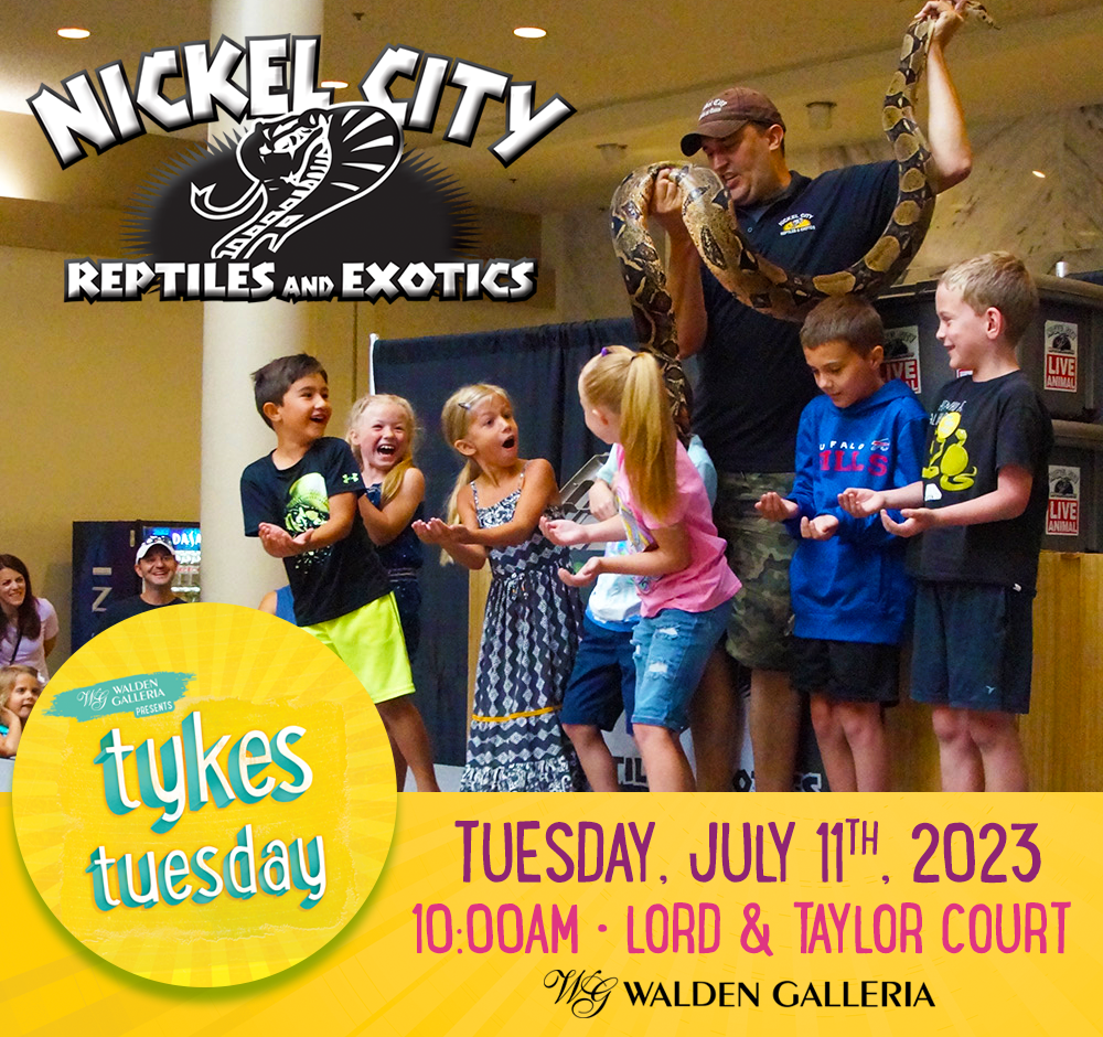 Tykes Tuesday Summer Kids Club Nickel City Reptiles