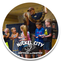 Tykes Tuesday Nickel City Reptiles Blog Page Image