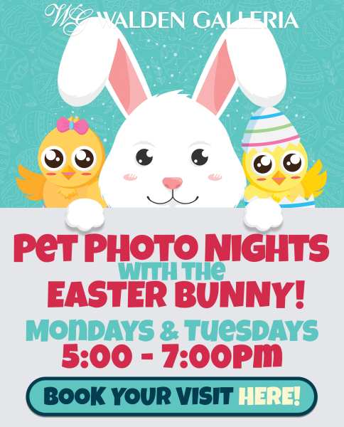 2023 Easter Pet Photo Nights Website Image