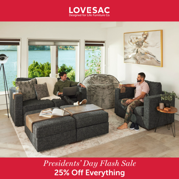 Lovesac Campaign 77 25 Off Everything EN 1080x1080 1