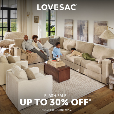 lovesac lovesac