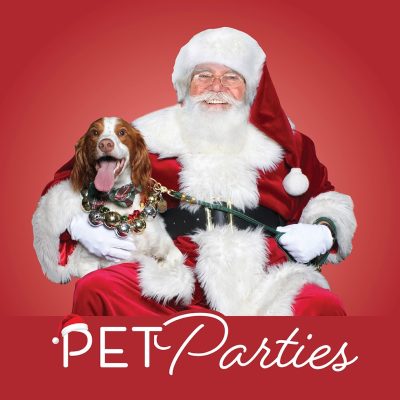 Visit Santa 2025 Pet Photo Nights Website Image
